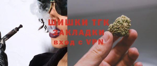крисы Армянск