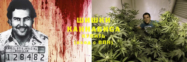 трава Арсеньев