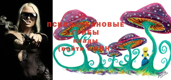 крисы Армянск