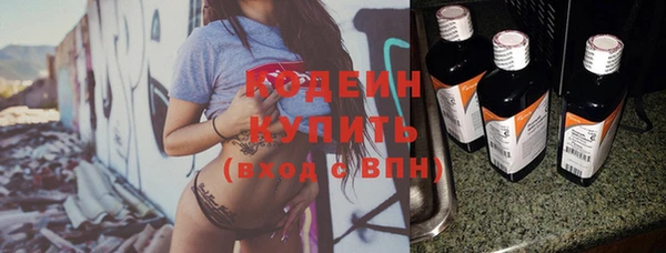 крисы Армянск