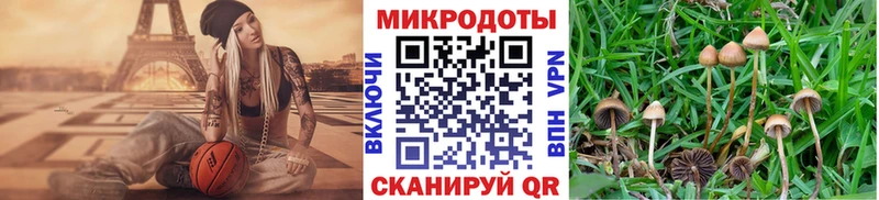 Галлюциногенные грибы Psilocybine cubensis  купить  сайты  блэк спрут как войти  Фрязино 