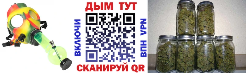 Бошки Шишки марихуана  blacksprut маркетплейс  Фрязино 